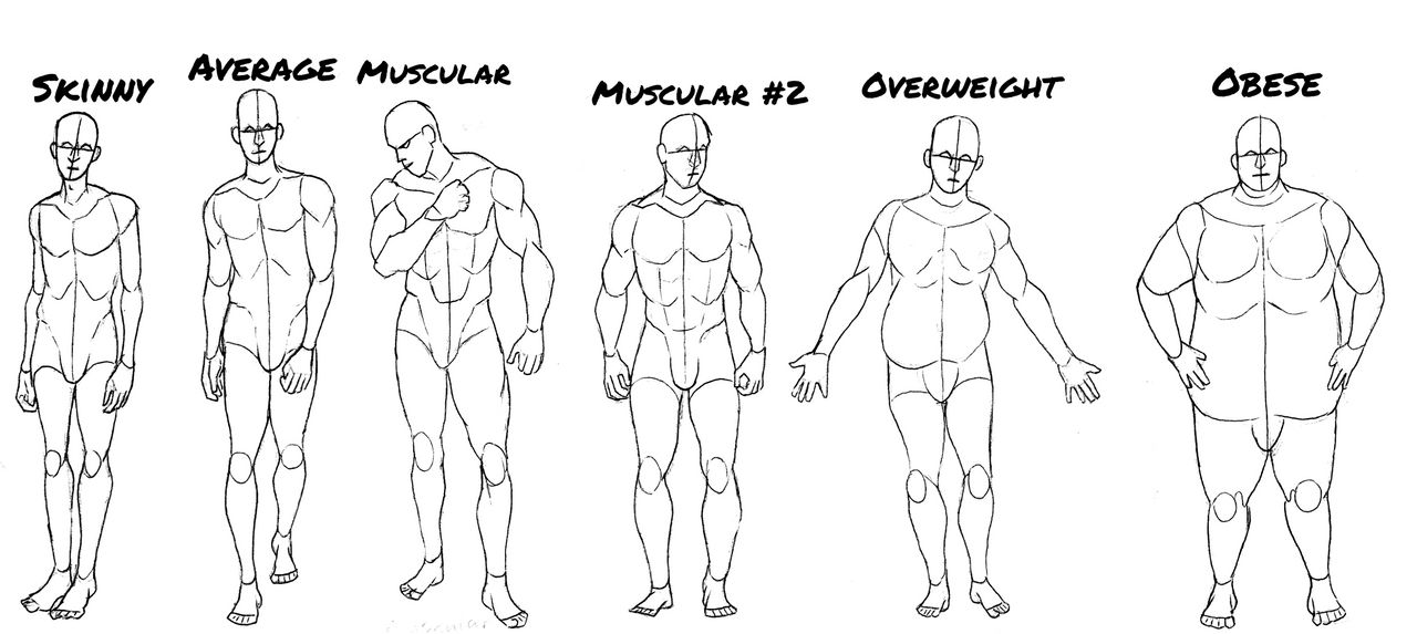 Basic Male Body Types by ArtsyArcticTiger on DeviantArt