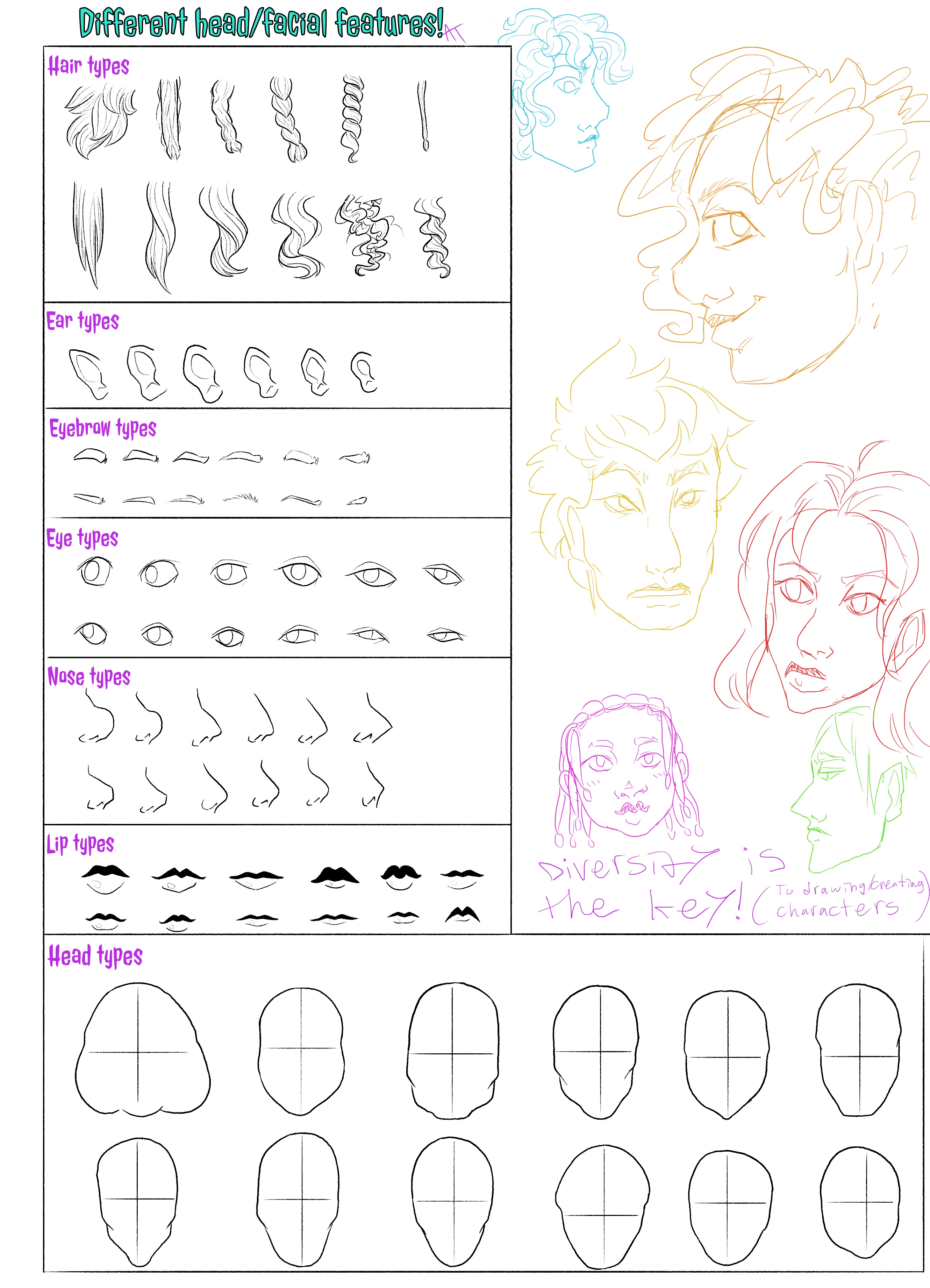 Face Feature Chart Facial/head Feature Chart by ArtsyArcticTiger on DeviantArt