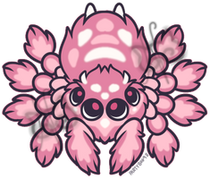 Cute Spider 7 closed