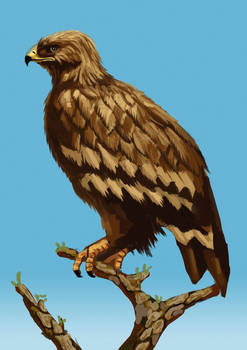 Eagle