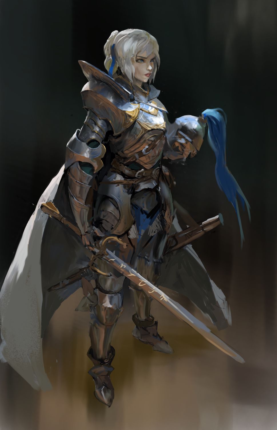 Knight Riger Girl Knight girl comm by Beaver-Skin on DeviantArt