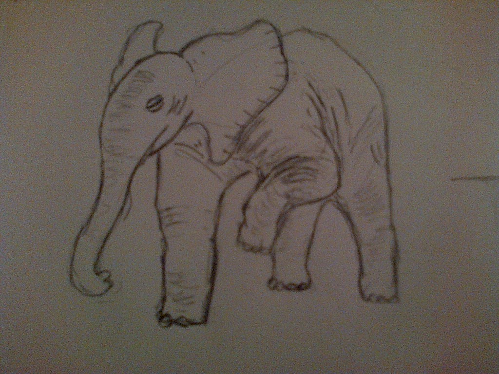 Elephant Study