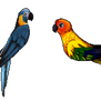 [16.] Parrots FREE