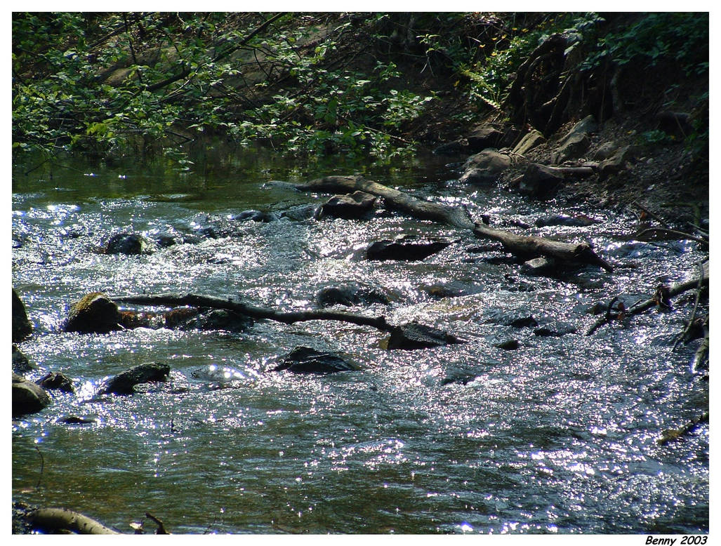 Hierdense Beek 1 by fotooooo on DeviantArt