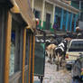 Honduran Traffic