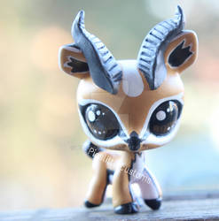 Littlest gazelle (LPS custom)