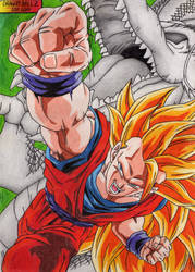 Son Goku FULL POWER