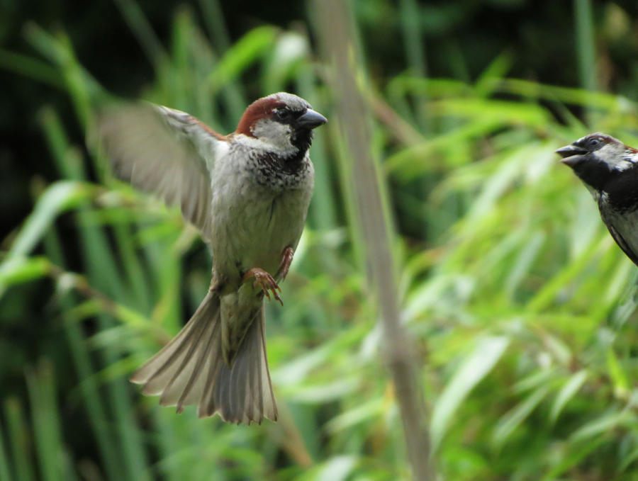 Dude your flying!