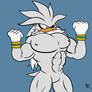 Silver the Hedgehog