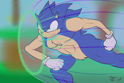 Gotta Go Fast