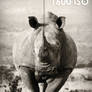 GRAINSNAP: 1600 ISO Film Scan - Rhino