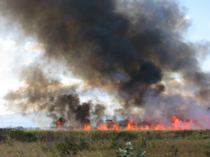 FIRE by MASSTROSS21 FIRE by MASSTROSS21