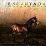 Encantada