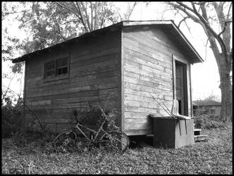 More of the Shed