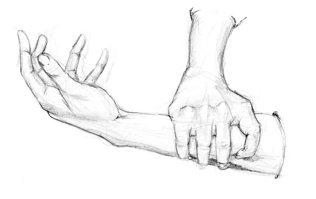 My hands and arms