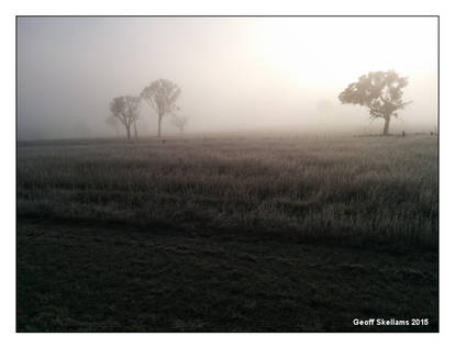 Winter Morning