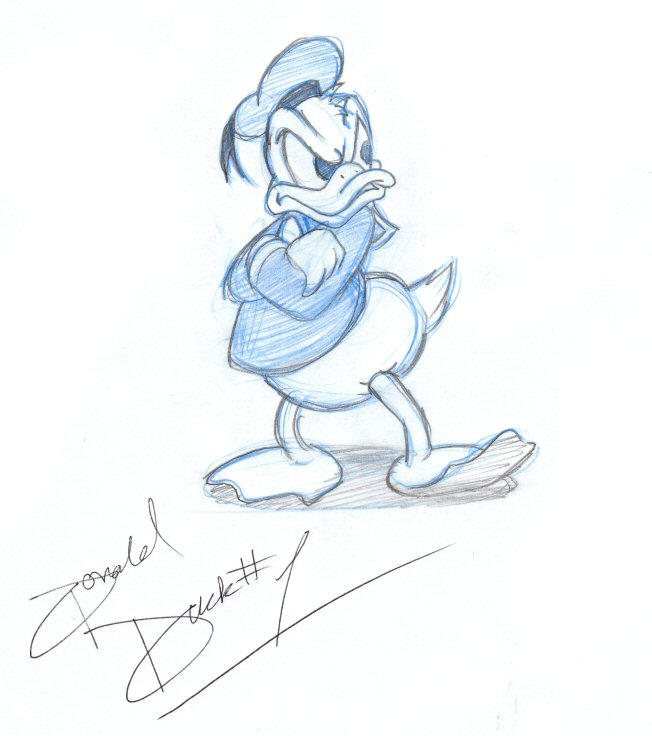 Donald Rindahl Scetch Disneyland - Donald by SquirrellyFries on DeviantArt