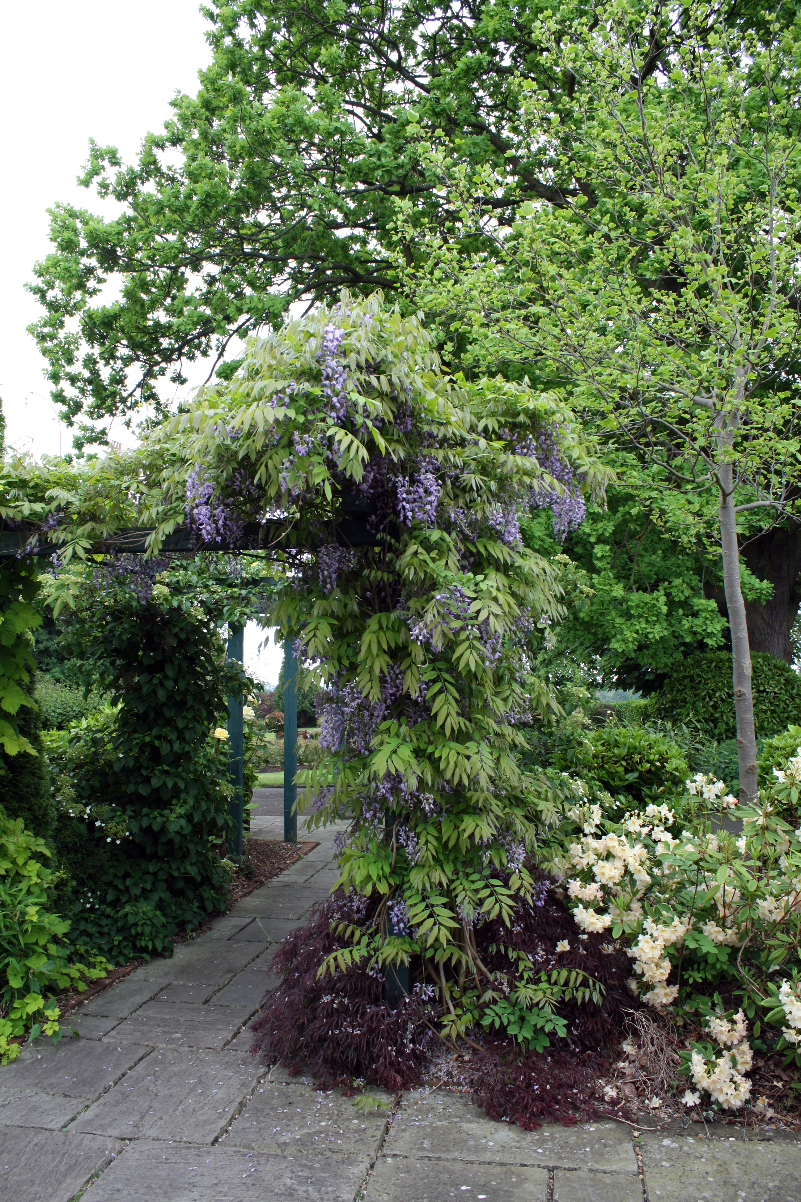 Bridgenorth Castle Gardens 5