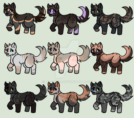 Open~20 point dog adoptables