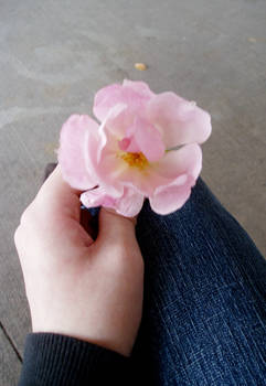He Gave me a Flower. . .