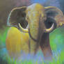 Elephant Oil Painting, In Gallery, Khao Lak, Thai