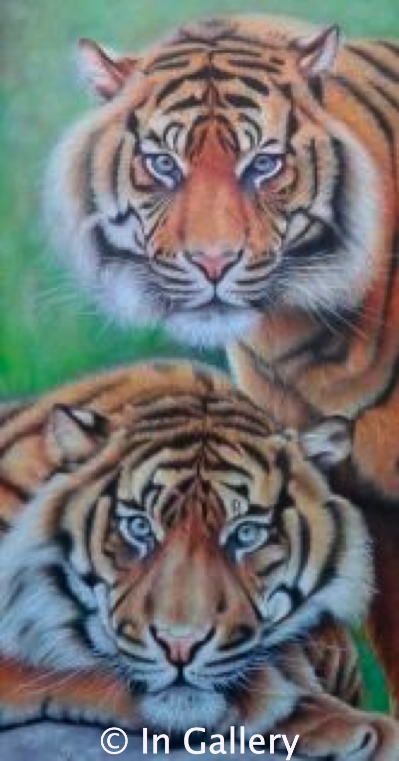 Tigers, In Gallery, Khao Lak Thailand 80cm x 150cm