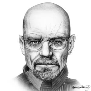 Bryan Cranston - Walter White