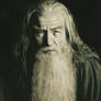Gandalf the Grey