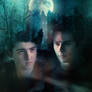 Sterek