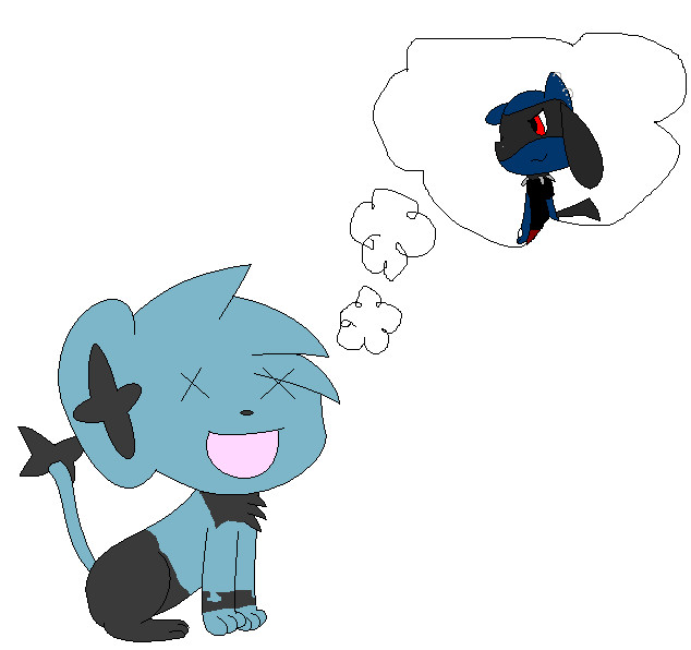 Taylor the Shinx