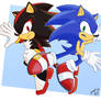 Sonic X Shadow