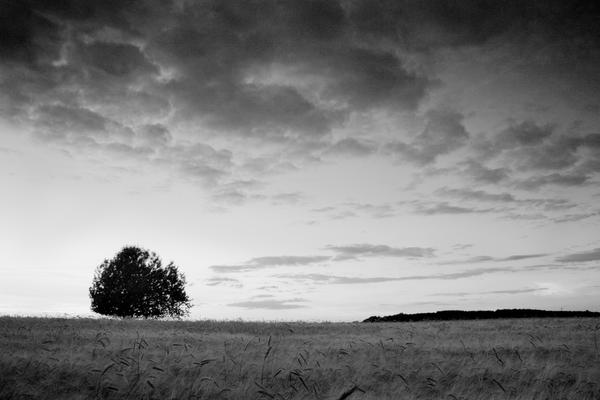 elect the dead by Wurstgulasch on DeviantArt