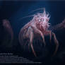 Geyser Diver Shrimp