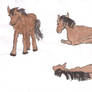 Horses