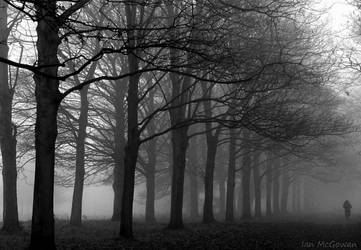 Fog in Cassiobury .