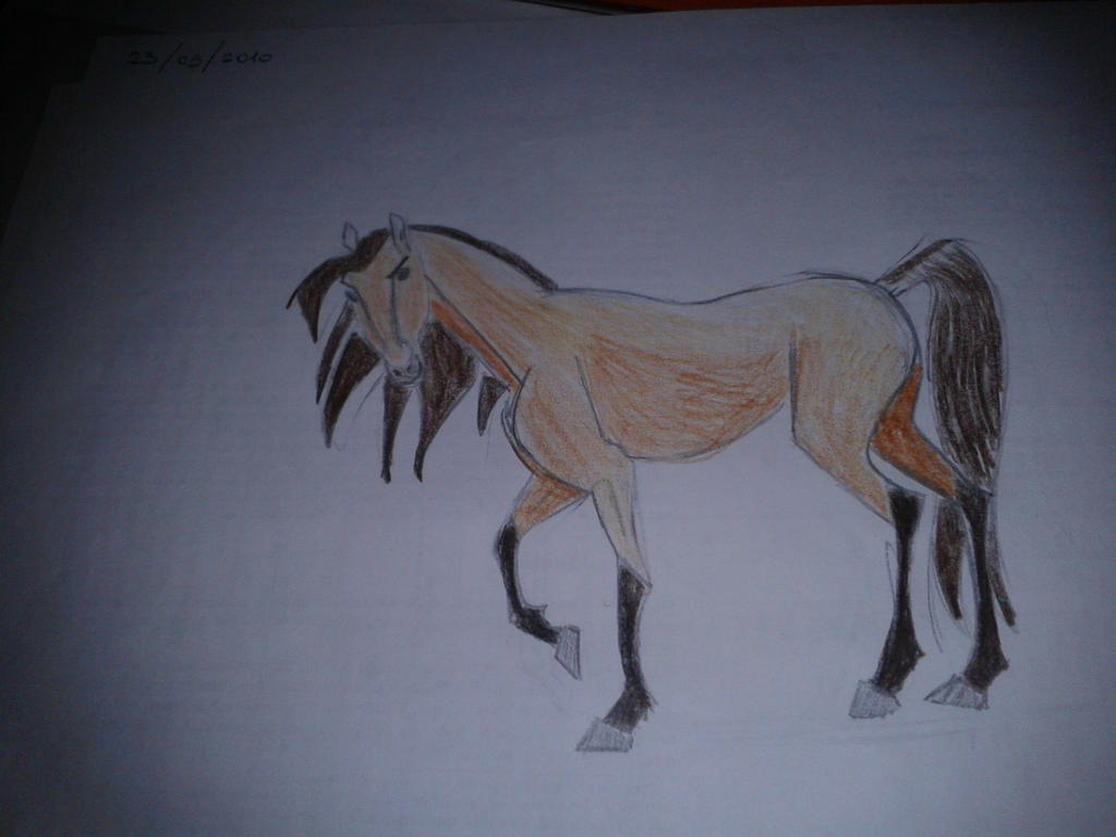 Spirit - Cavallo Selvaggio by Haydan2001 on DeviantArt