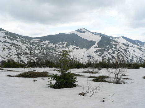 Mountains in Siberia (June)