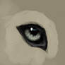 Wolf Eye WIP