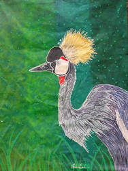 Crowned Crane