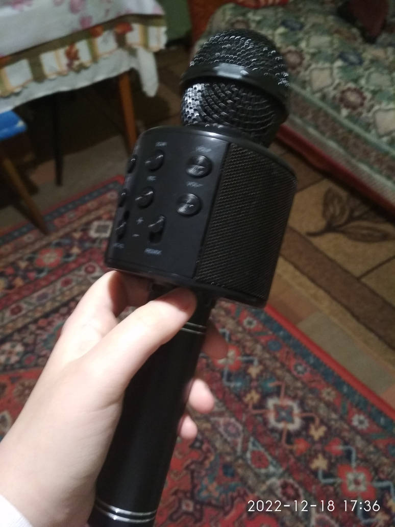 First Mircrphone My first microphone by EmiliaFairy2004 on DeviantArt