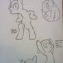 Inked pony poses