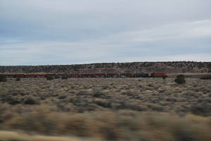 Sea-Essex in the desert
