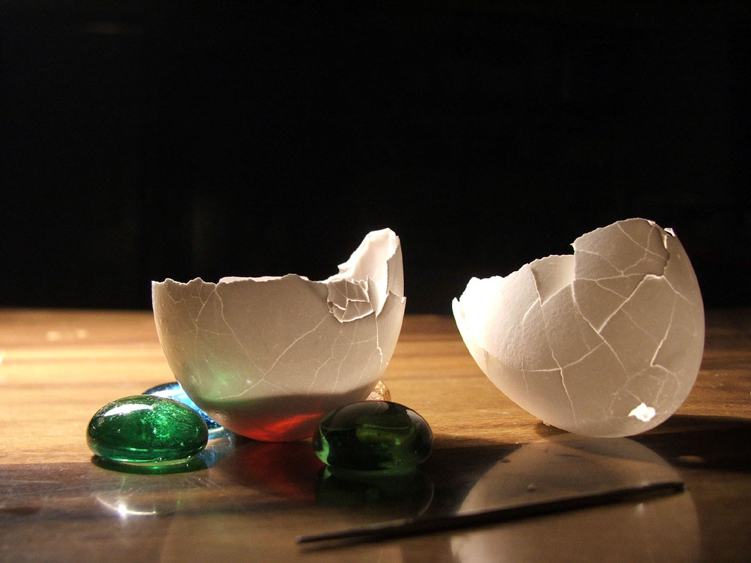 Shell Hallow Hollow Shell by bacatlover on DeviantArt