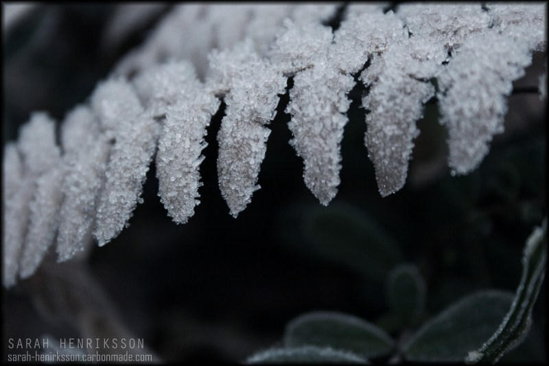 Cold3 by Saaraah on DeviantArt
