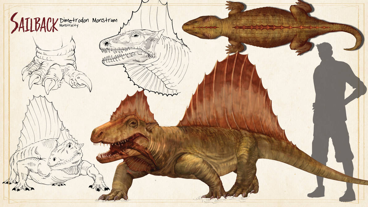 Sail Back Sailback, Dimetrodon Monstrum by EmberAndSparks on DeviantArt