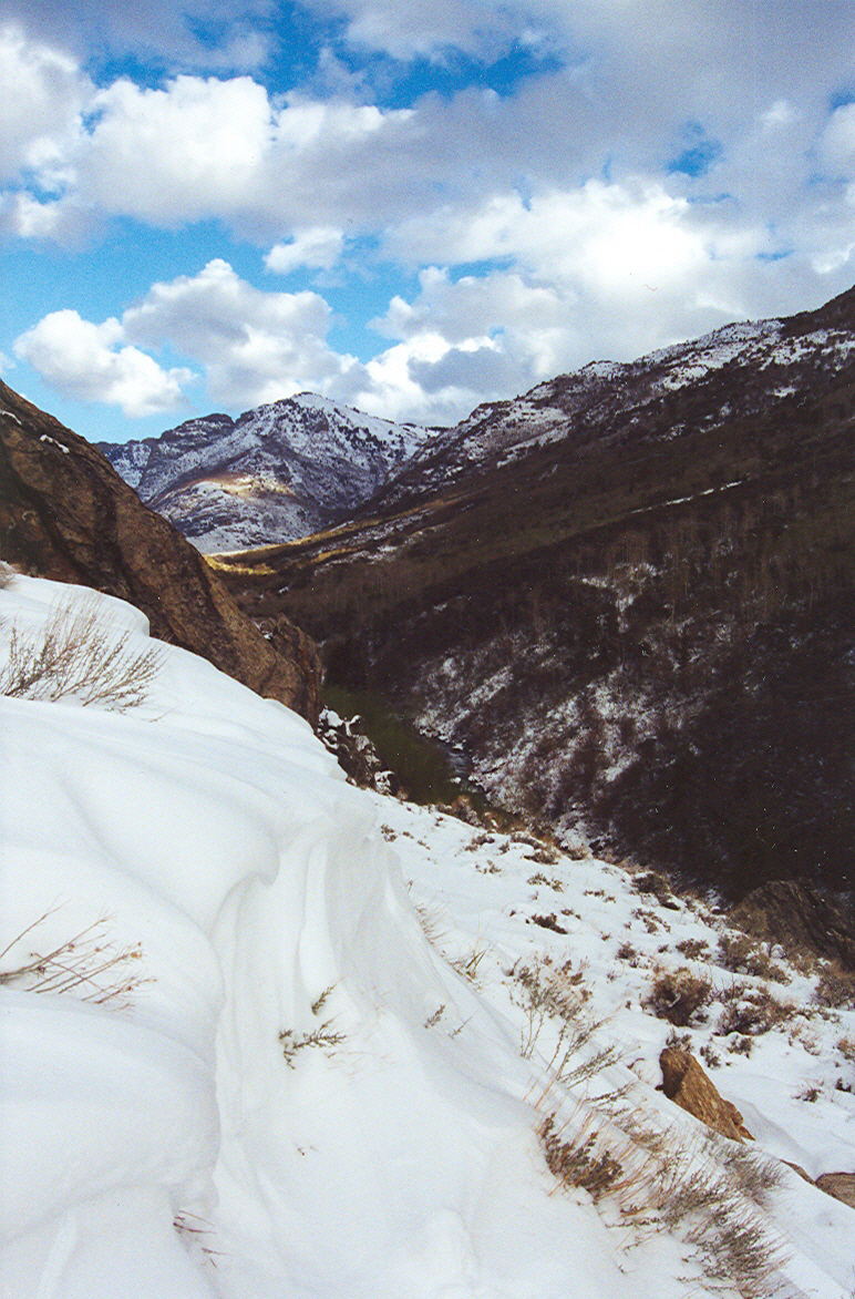 Ruby Mountains