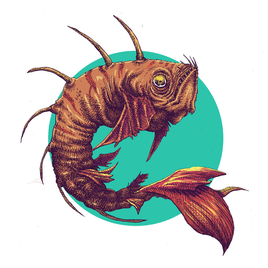 Angulliformes Vector Anguilliformes Falsus colorido by BrunoMarafigo on DeviantArt