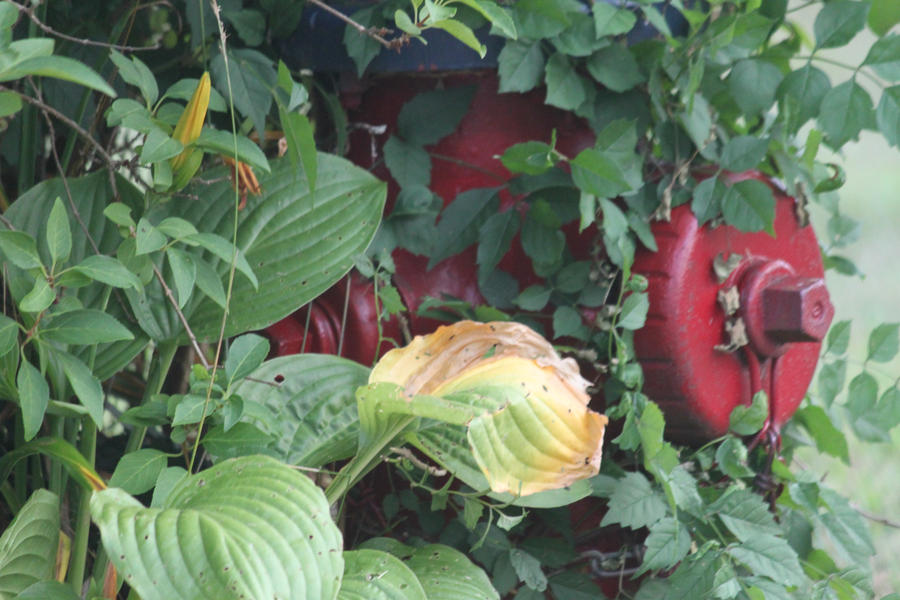 Hidden Fire hydrant by elitesurvivor on DeviantArt