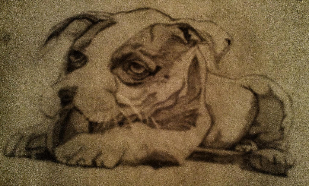 Deviantart Boxer Dog Boxer puppy by jNicki on DeviantArt