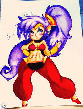 Shantae Half Genie Hero!